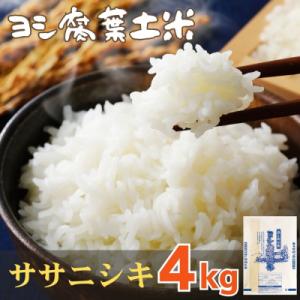 ふるさと納税 石巻市 令和7年産 ヨシ腐葉土米 ササニシキ 精米4kg