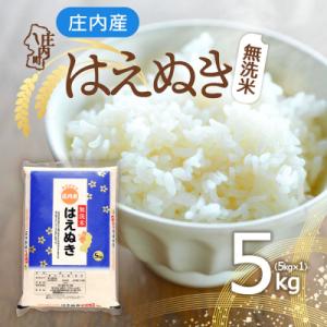 ふるさと納税 庄内町 庄内産 はえぬき無洗米 5kg 令和8年産 2026年産 ブランド米