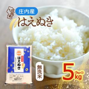 ふるさと納税 庄内町 【令和8年産】庄内産 はえぬき無洗米 5kg ブランド米 国産