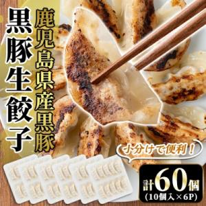 ふるさと納税 霧島市 国産!鹿児島県産黒豚餃子60個(10個入×6P)【肉の豊楽】　A3-008