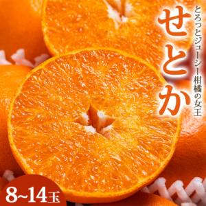 ふるさと納税 香南市 【2027年2月発送】とろっとジューシー せとか 8〜14玉 みかん 秀 ku...