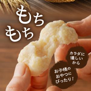 ふるさと納税 焼津市 栄養満点玄米だんご30年...の詳細画像2