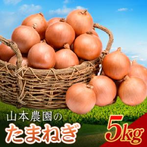 ふるさと納税 南幌町 北海道産 南幌町産 山本農園のたまねぎ L〜L大サイズ前後 5kg 玉ねぎ タ...