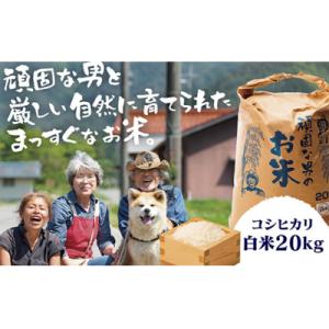 ふるさと納税 山口市 頑固な男のお米(コシヒカリ)白米20キログラム C097