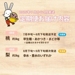 ふるさと納税 福島市 フルーツ2種定期便 桃約...の詳細画像1