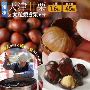 ふるさと納税 碧南市 【冷凍】天津甘栗1.6kg&amp;大粒の焼き栗セット H045-085