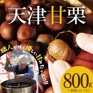 ふるさと納税 碧南市 この道50年の職人が焼く、やさしい甘みたっぷりの「天津甘栗」800g! H04...