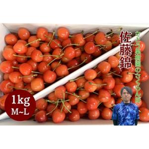 ふるさと納税 上山市 さくらんぼ(佐藤錦)1kg　ご家庭用　0136-2602｜Yahoo!ふるさと納税