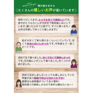 ふるさと納税 南幌町 令和8年発送 北海道産 ...の詳細画像3