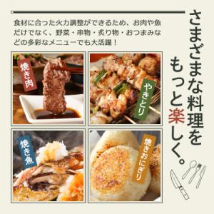 ふるさと納税 加西市 アラジン グリーン 緑 ...の詳細画像2