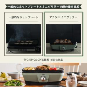 ふるさと納税 加西市 アラジン グリーン 緑 ...の詳細画像3
