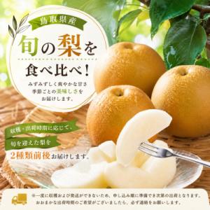ふるさと納税 八頭町 【訳あり】鳥取県産旬の梨...の詳細画像1
