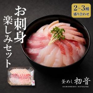 ふるさと納税 室戸市 お刺身セット 2〜3種盛り合わせセット 旬の地魚 魚介類 さしみ