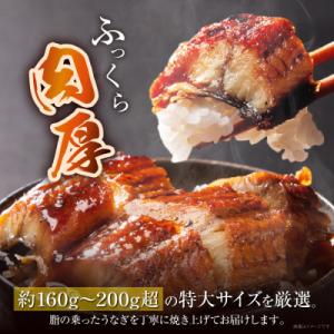 ふるさと納税 福智町 国産うなぎ蒲焼特大4尾(...の詳細画像1