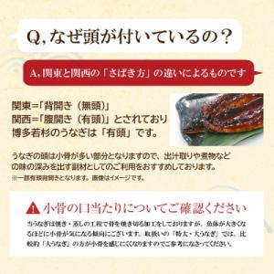 ふるさと納税 福智町 国産うなぎ蒲焼特大4尾(...の詳細画像3