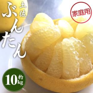 ふるさと納税 香南市 訳あり 土佐文旦 10kg 家庭用 柑橘系果物 柑橘類 フルーツ 高知県 間城...