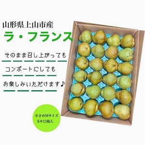 ふるさと納税 上山市 西洋梨(ラ・フランス)5kg　Mサイズ　ご家庭用　0055-2611