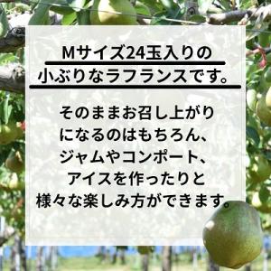 ふるさと納税 上山市 西洋梨(ラ・フランス)5...の詳細画像1