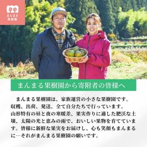 ふるさと納税 上山市 西洋梨(ラ・フランス)5...の詳細画像3