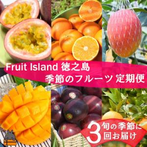 ふるさと納税 徳之島町 フルーツアイランド徳之島 季節のフルーツ定期便 ( マンゴー たんかん パッ...
