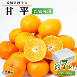ふるさと納税 西予市 愛媛県西予市産　甘平　ご家庭用　7kg