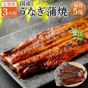 ふるさと納税 薩摩川内市 【3カ月定期便】 九州産うなぎ蒲焼 約170g×5尾×3回　JS-224