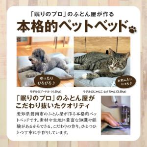 ふるさと納税 碧南市 【たっぷり!!リアルダウ...の詳細画像1