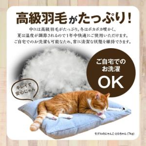 ふるさと納税 碧南市 【たっぷり!!リアルダウ...の詳細画像2