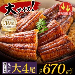 ふるさと納税 福智町 国産うなぎ蒲焼大4尾(67...の商品画像
