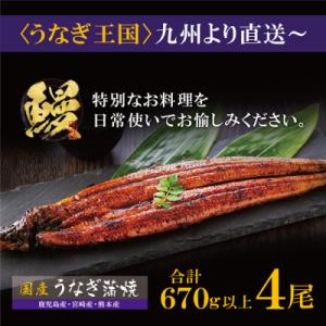ふるさと納税 福智町 国産うなぎ蒲焼大4尾(6...の詳細画像2