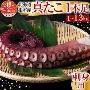 ふるさと納税 根室市 【北海道根室産】真たこ1本足1〜1.3kg A-19004