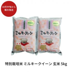 ふるさと納税 三条市 先行予約 特別栽培米 ミルキークイーン 玄米 5kg 佐藤農産有機センター【010S226】
