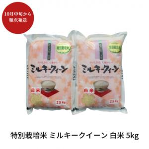 ふるさと納税 三条市 特別栽培米 ミルキークイーン 白米 5kg 佐藤農産有機センター【010S224】
