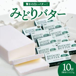 ふるさと納税 大分市 みどりバター詰め合わせ　10個セット_K07015