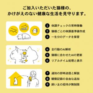 ふるさと納税 境町 【4猫様用】Catlog基...の詳細画像2