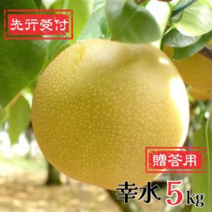 ふるさと納税 三条市 先行受付 和梨 幸水 5kg [8月下旬〜発送予定] 新潟県産 梨 [岩福農園]【010P045】