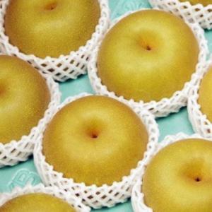 ふるさと納税 三条市 先行受付 和梨 幸水 5...の詳細画像2