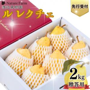 ふるさと納税 三条市 先行受付 ル レクチェ 2kg 4〜7玉 西洋梨 贈答用 洋梨 [渡辺果樹園]...