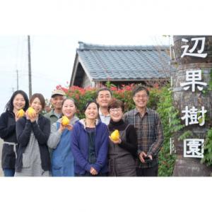 ふるさと納税 三条市 先行受付 ル レクチェ ...の詳細画像3