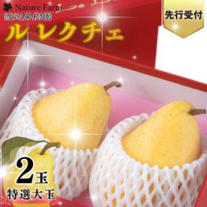 ふるさと納税 三条市 先行受付 特選大玉ルレクチェ 2玉 化粧箱 西洋梨 洋梨  [渡辺果樹園] 【...