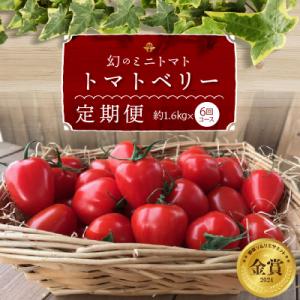ふるさと納税 碧南市 1月〜6月毎月発送 甘さ抜群!トマトベリーの定期便 6回コース H004-18...