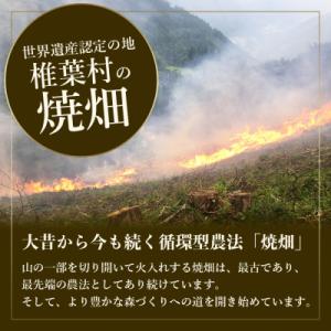 ふるさと納税 椎葉村 【世界農業遺産の産物】焼...の詳細画像3