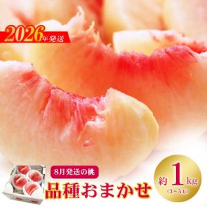 ふるさと納税 福島市 8月発送の桃 品種お任せ　特秀品約1kg【2026年発送　先行受付】No.2436