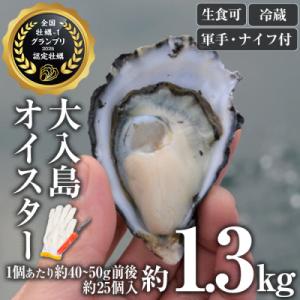 ふるさと納税 佐伯市 牡蠣1グランプリ最高金賞受賞!真ガキ 大入島オイスター<生食可・シングルシード...