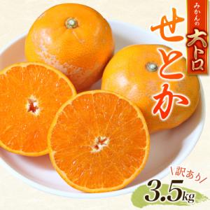 ふるさと納税 紀宝町 訳あり せとか 3.5kg+200g(傷み補償分) 大小混合【2月下旬頃〜順次...