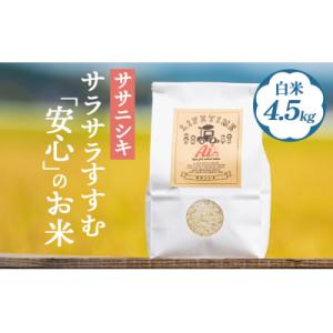 ふるさと納税 石巻市 【 先行受付 】ササニシキ 白米 4.5kg 新米 米 お米 化学肥料不使用 ...