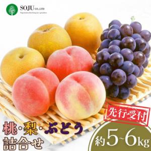 ふるさと納税 三条市 先行受付 桃・梨・ぶどうの詰合せ 合計5〜6kg 令和8年産 【035P010】