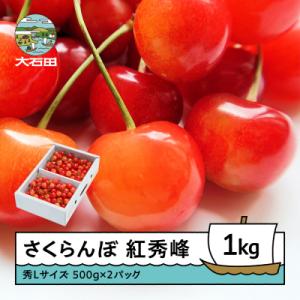 ふるさと納税 大石田町 さくらんぼ 紅秀峰 秀Lサイズ 1kg バラ詰め 化粧箱 (500g×2) ...