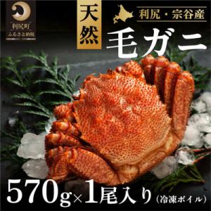 ふるさと納税 利尻町 利尻・宗谷産 冷凍ボイル毛蟹 570g前後×1尾 [No5888-0760]
