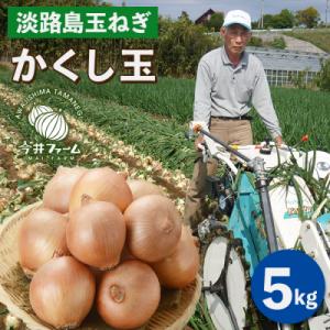 ふるさと納税 淡路市 今井ファームの淡路島たまねぎ「かくし玉」 5kg　ai01869